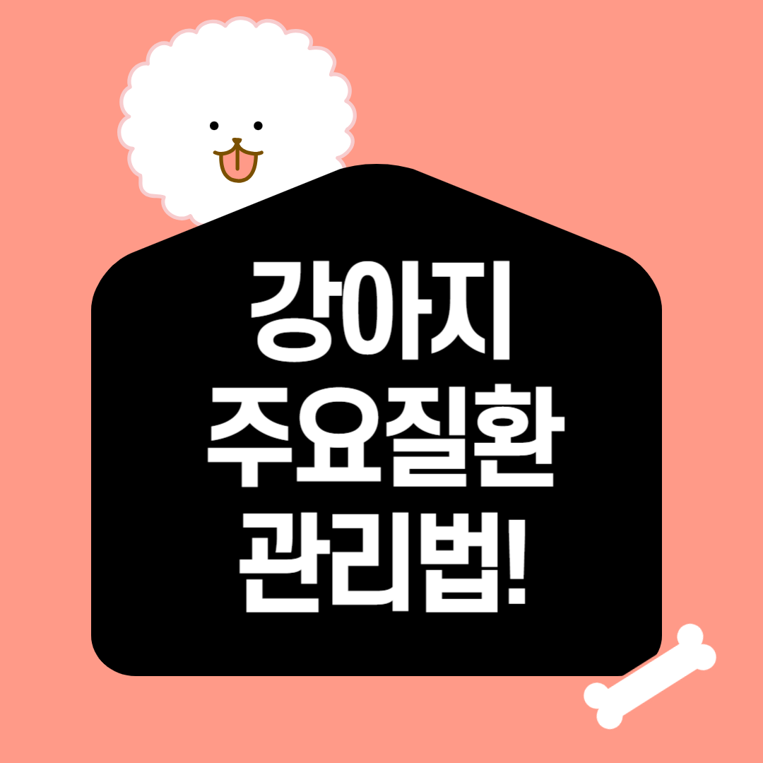 강아지 주요질환 관리법 이미지