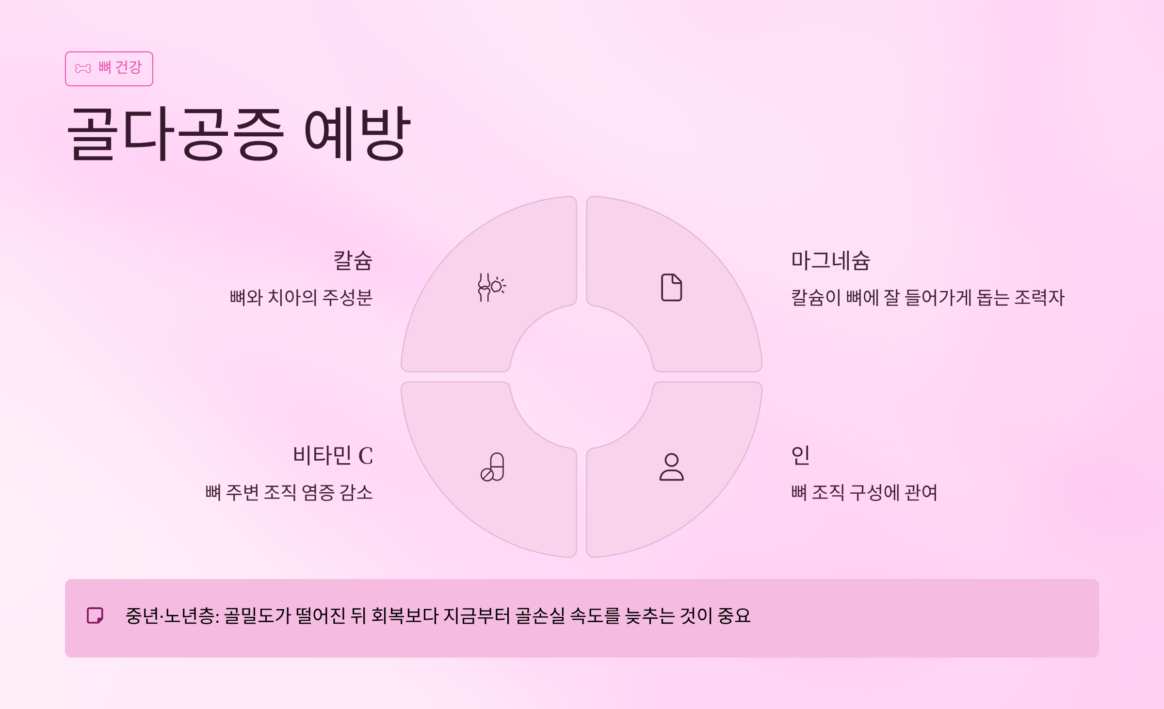 콜라비 효능 다이어트에서 골다공증 예방까지