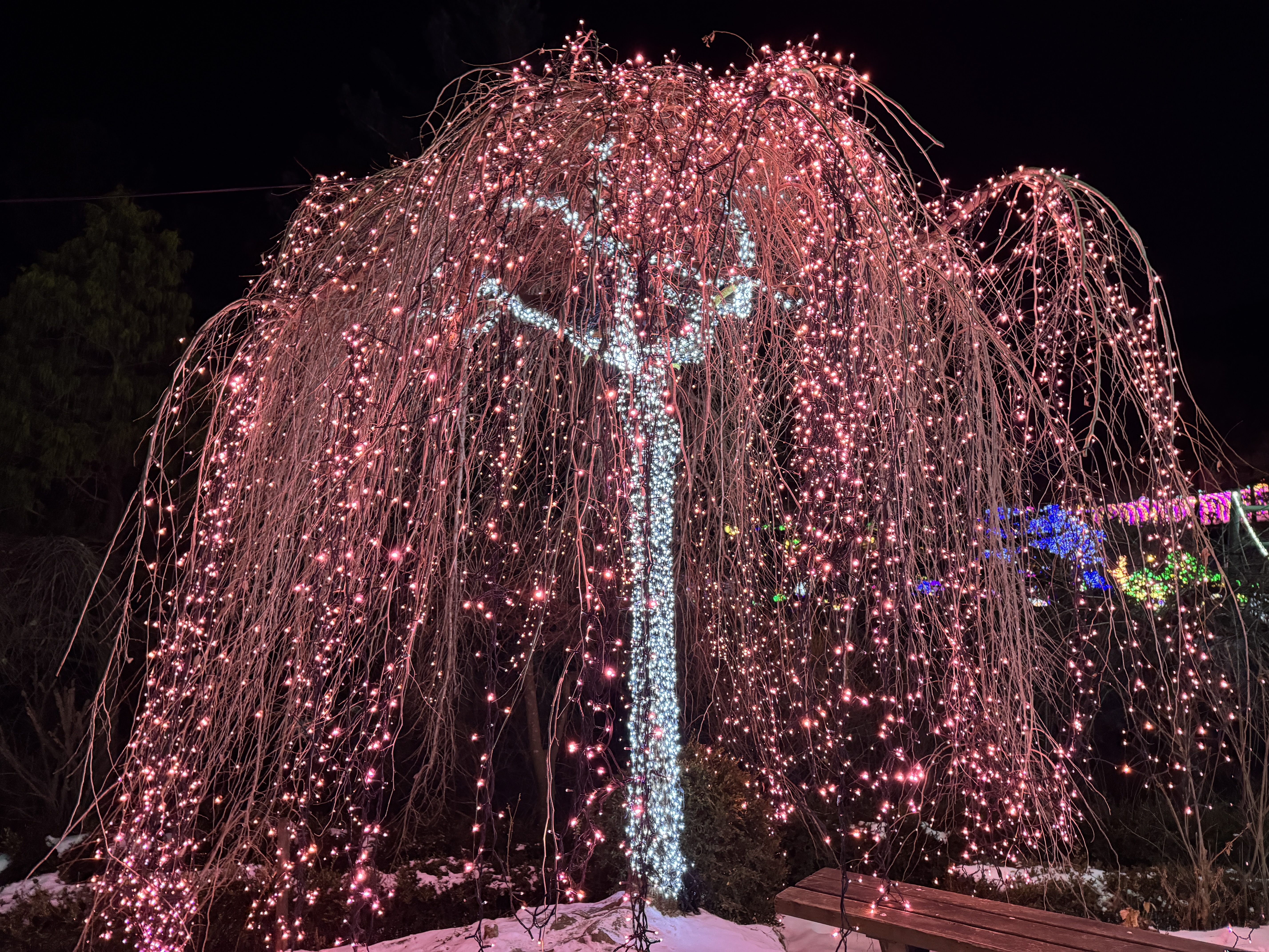 아침고요수목원