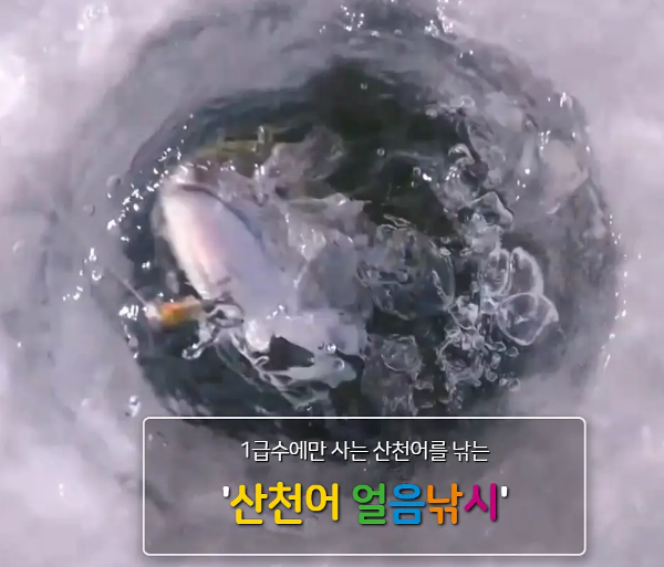 산천어 얼음낚시
