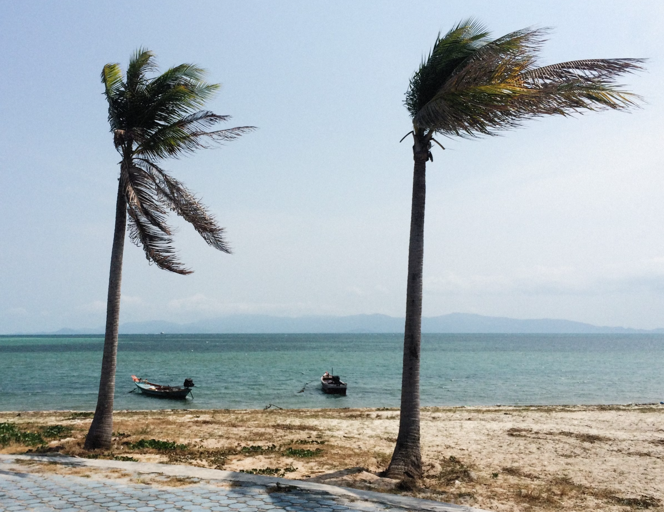 2025년-1호-태풍-관련-사진