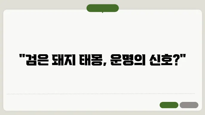 검은 돼지 태몽