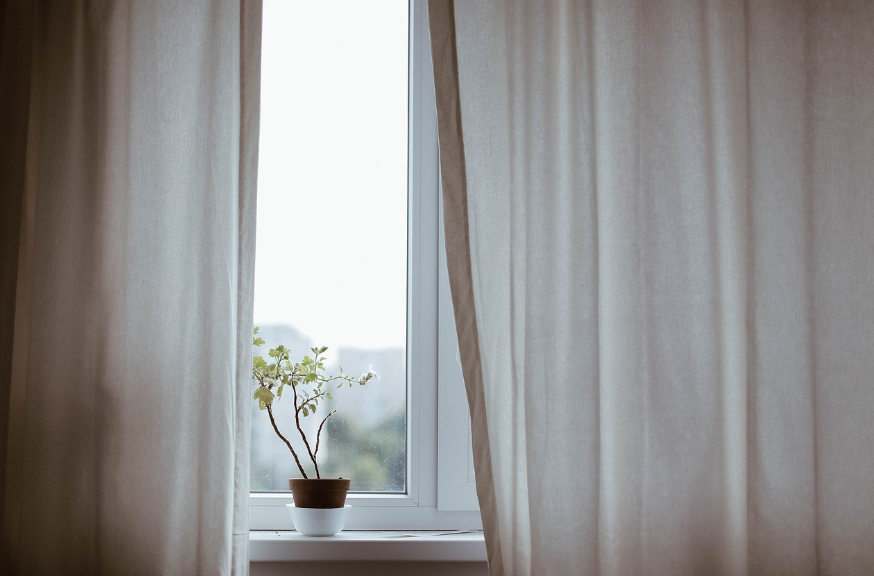 화분만 파는 게 아닙니다? 식물이 마음을 치유한다고요 – 식물 테라피스트의 세계