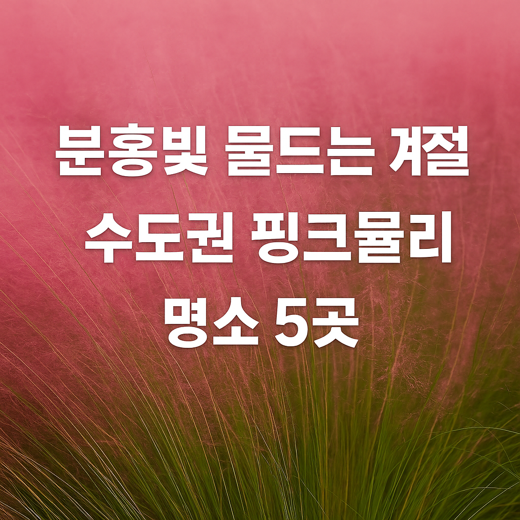 수도권 핑크뮬리 명소 5곳