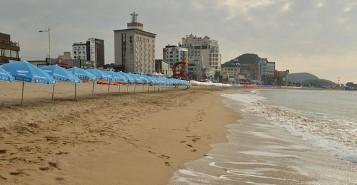 강원도 해수욕장 개장일