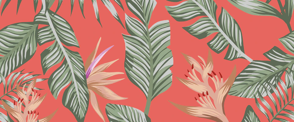 2024년 최신 블로그 디자인 동향