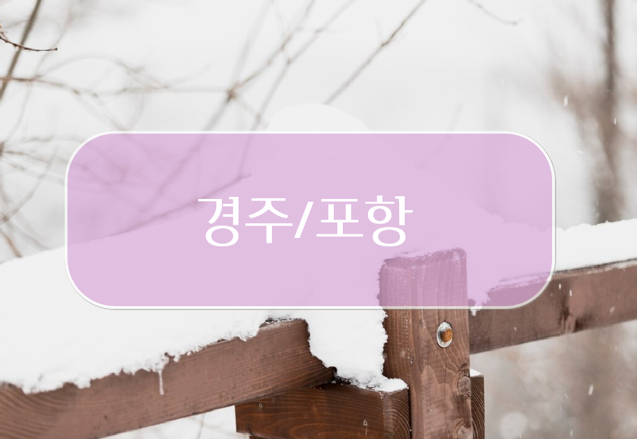 경주와 포항