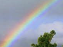 ISTP 유형 특징 분석