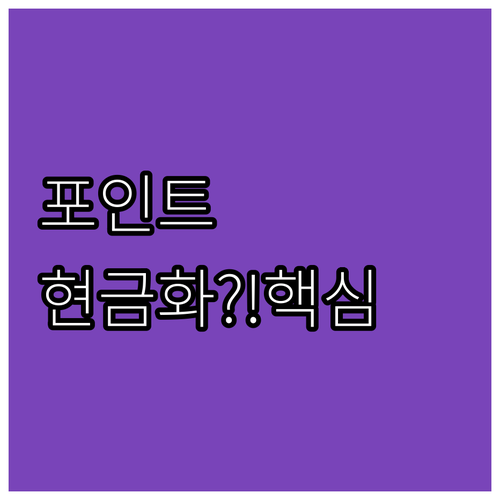 회사 복지 포인트 현금화 임금 아닌 ..
