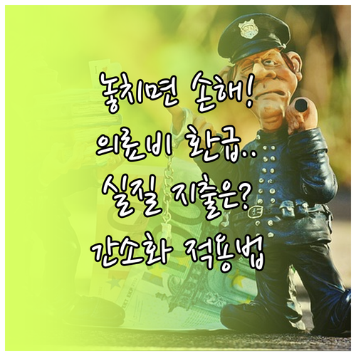 의료비 세액공제 실질 지출액 원칙과 ..