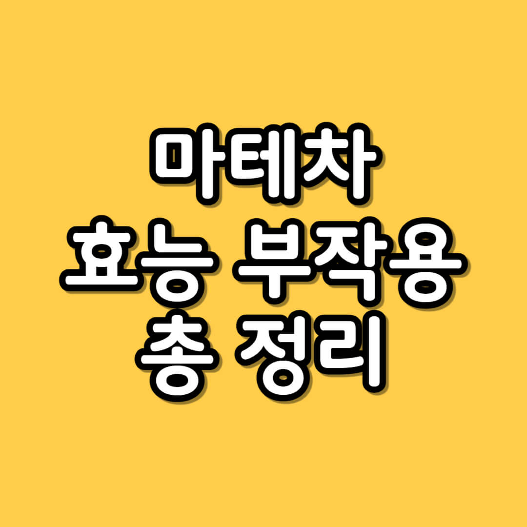 마테차 효능