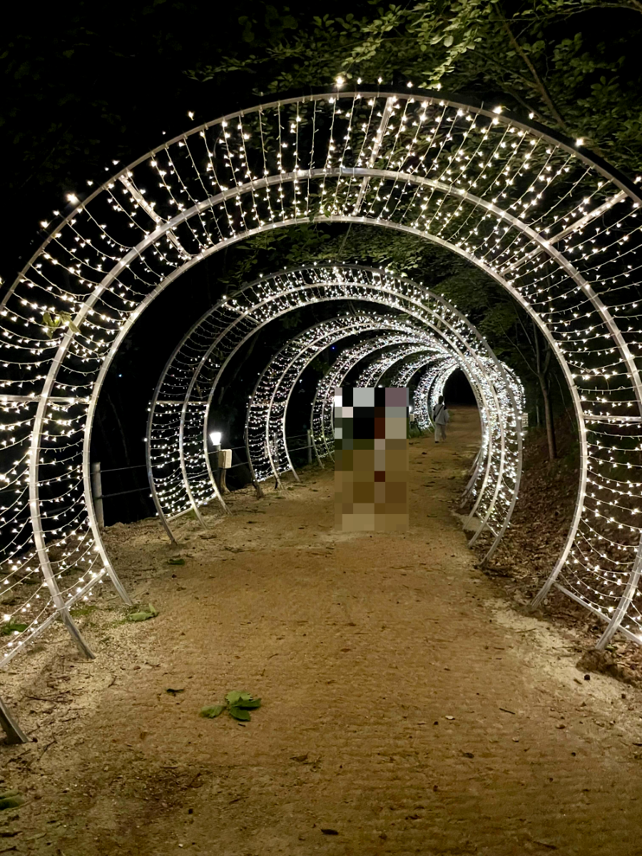 오크밸리 빛의 터널 1