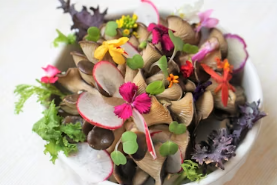 샐러드박스 창업에 대하여 알아보기