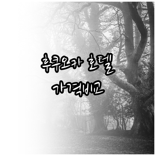 후쿠오카 호텔 6곳 가격 비교 특징은 무엇일까요? 장단점까지 꼼꼼히 알아보자 후쿠오카 호텔 6곳 가격 비교 특징은