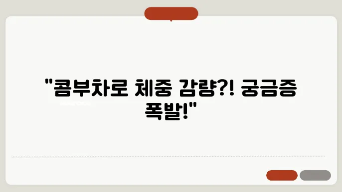 콤부차 다이어트 효과