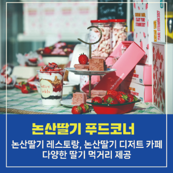 2025 논산딸기축제 : 일정, 체험, 가격, 볼거리, 주차까지 총정리!