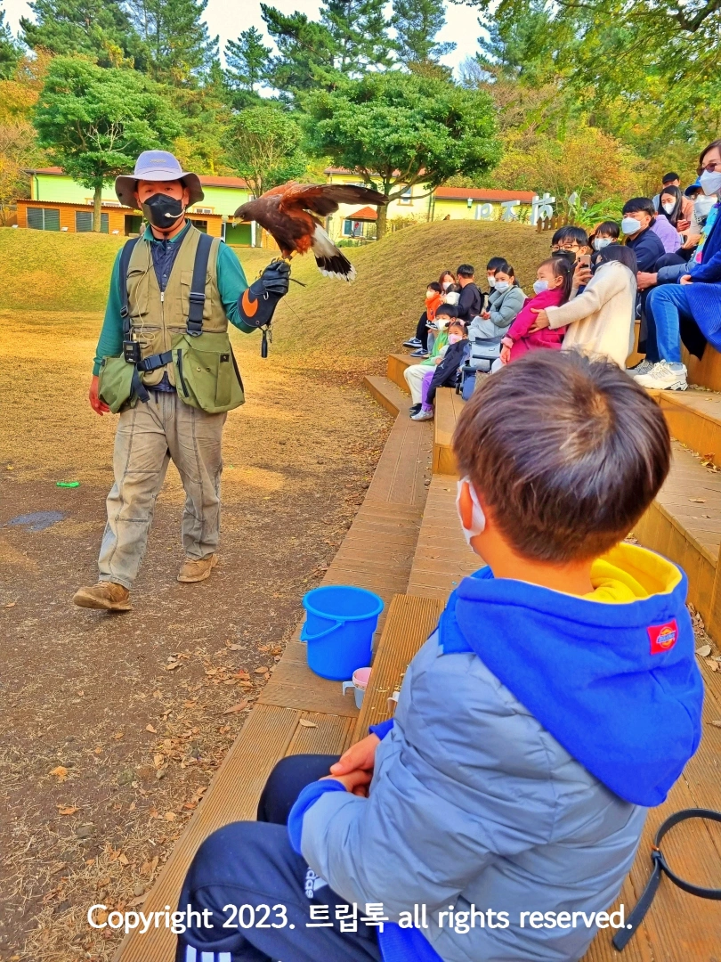 사육사 팔 위의 독수리를 아이가 유심히 보고있다