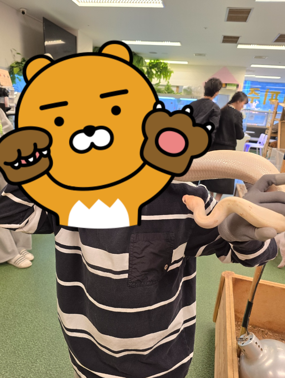 뱀