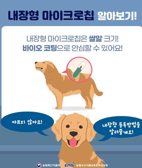 반려동물 내장형 마이크로칩