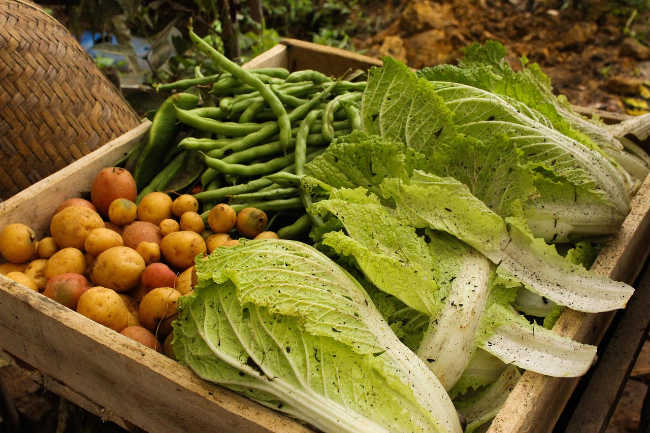콜레스테롤 낮추는 자연 식품