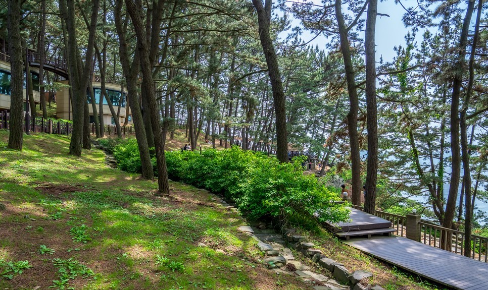 보령 가볼만한곳 (죽도 상화원)