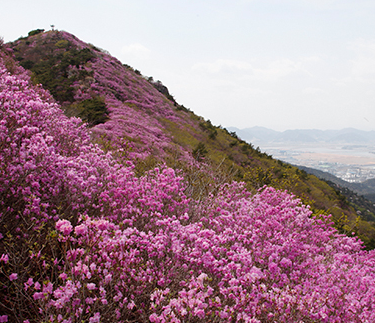 여수 가볼만한곳 베스트10