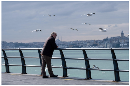 60세이상 노인혜택
