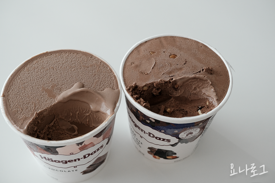하겐다즈 하겐다즈초콜릿 초코아이스크림 초코디저트 초콜릿디저트 다크초코 다크초콜릿 초콜릿 다크초코아이스크림 다크초콜릿가나슈앤아몬드 내돈내산 내돈내산리뷰 아이스크림리뷰 아이스크림추천 하겐다즈추천 간식 간식추천