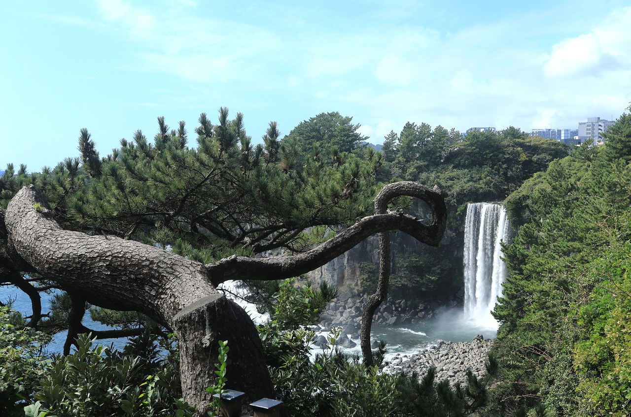 제주 서귀포 정방폭포
