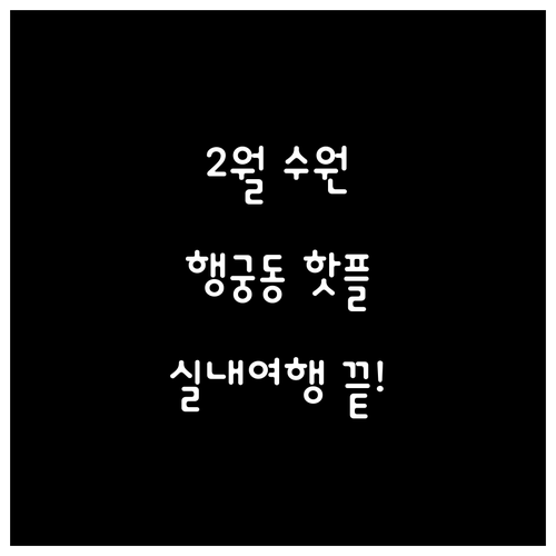 2월 수원 가볼만한곳 추천 행궁동 카..