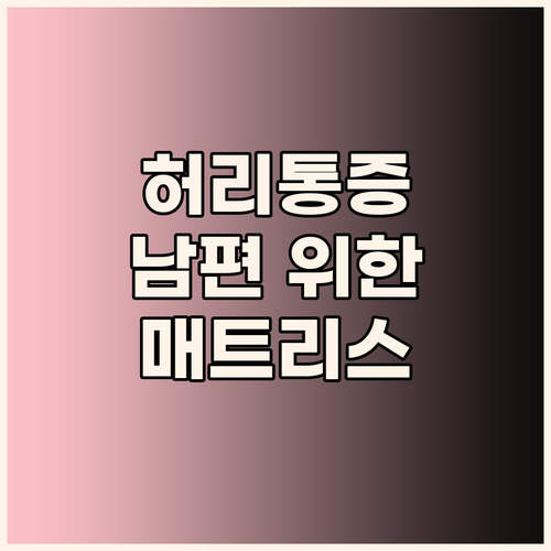 허리 아픈 남편을 위한 선택 지누스 