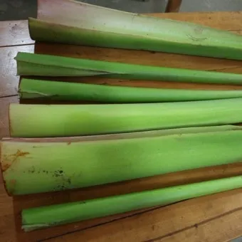 토란대줄기 수확시기토란대 말리는 방법까지 안내_8