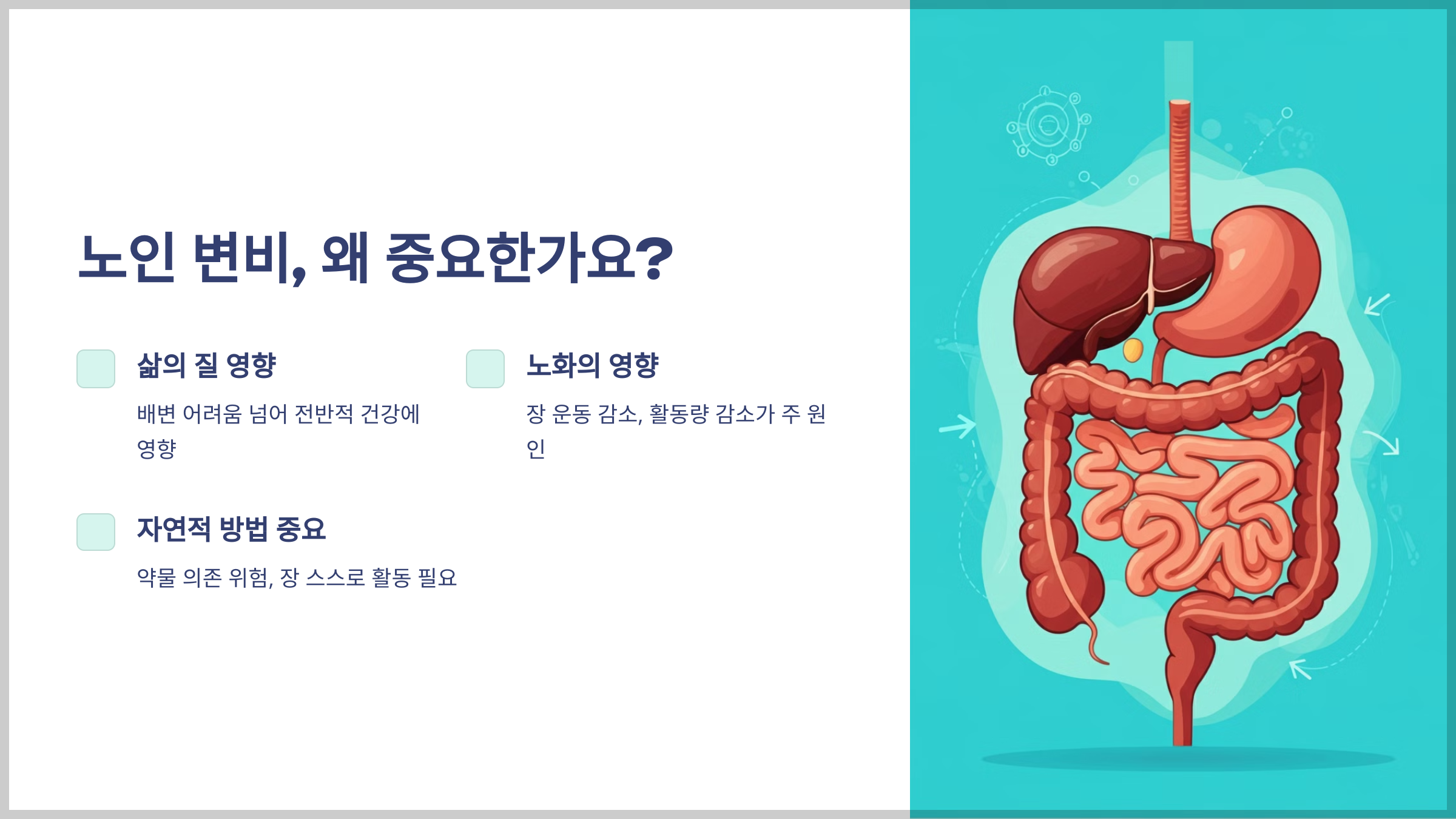 서론: 노인 변비, 왜 중요한가요