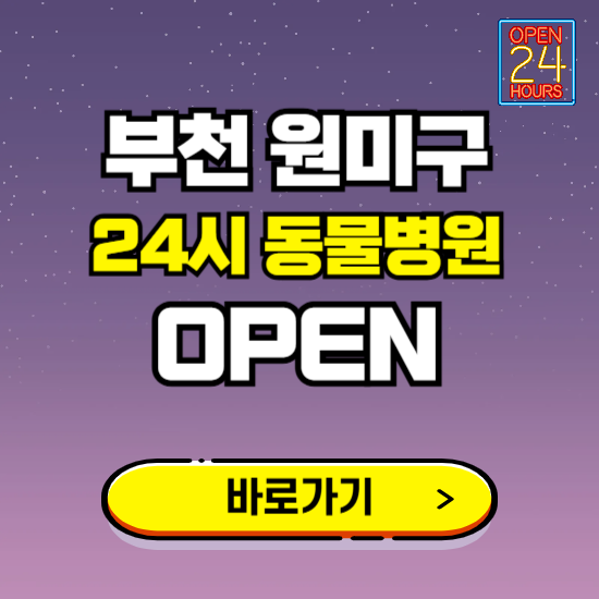 부천시 원미구 24시 동물병원 진료하는 곳 ❘ 설날 휴일 야간 심야 문여는곳 찾기 ❘ 응급진료