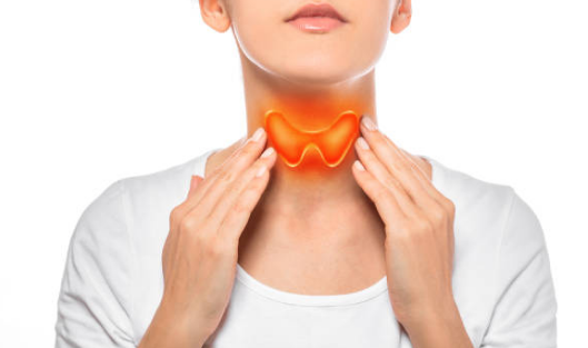 갑상선 기능 항진증 증상, 수치, 검사 총정리 (2024ver)