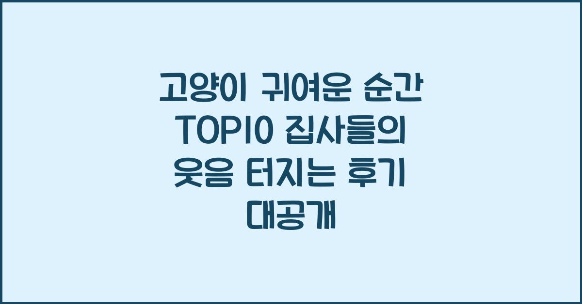 고양이 귀여운 순간 TOP10! 집사들의 웃음 터지는 후기