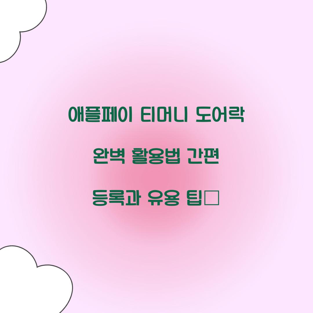 애플페이 티머니 도어락