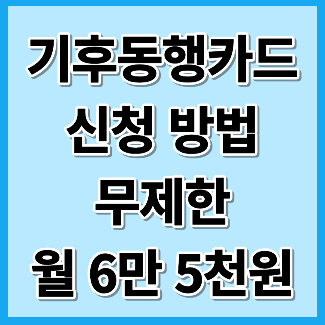 기후동행카드