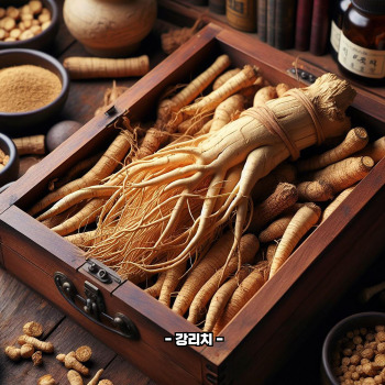 수삼 효능