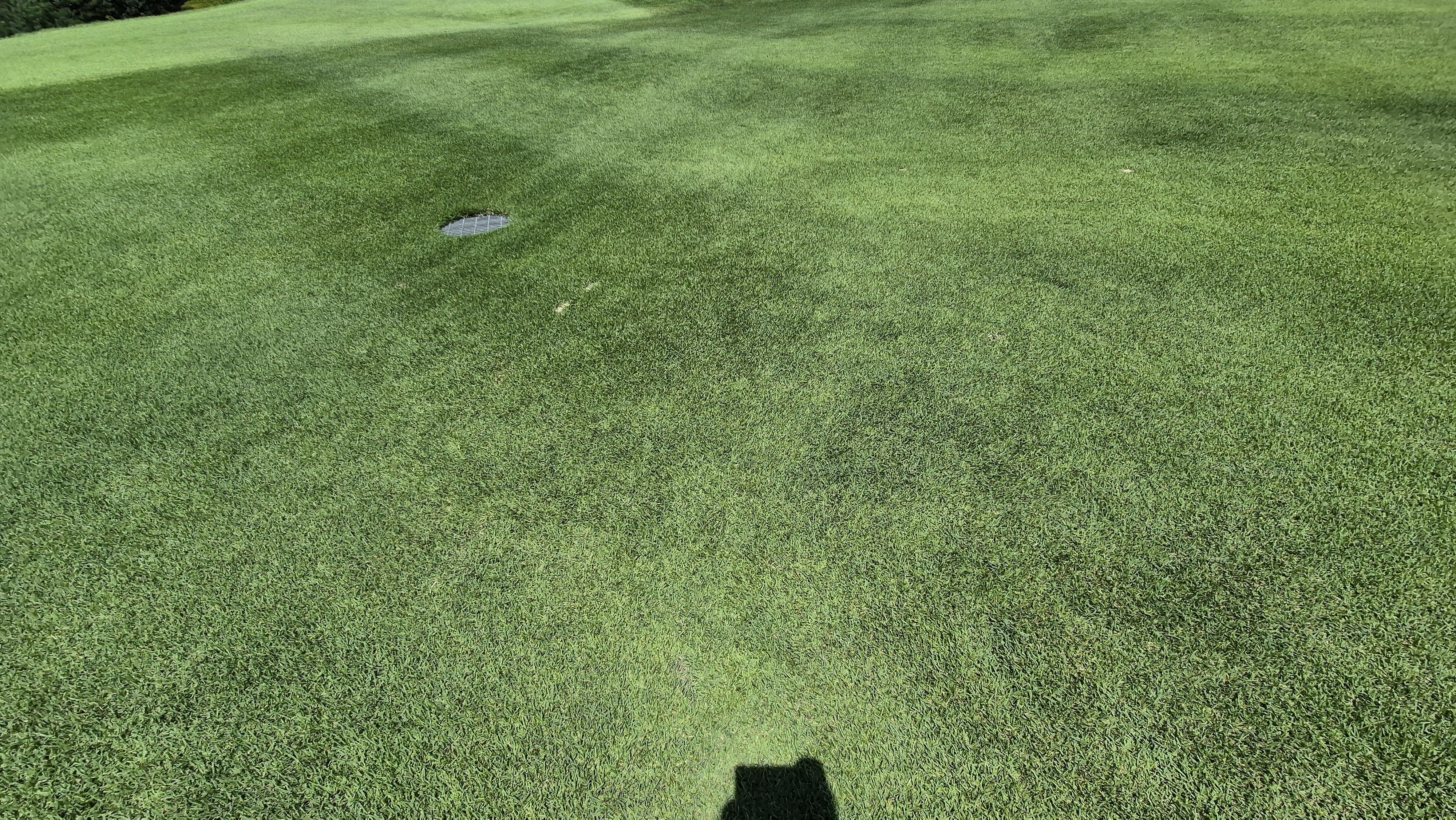 골프존카운티 화랑 라운드 후기