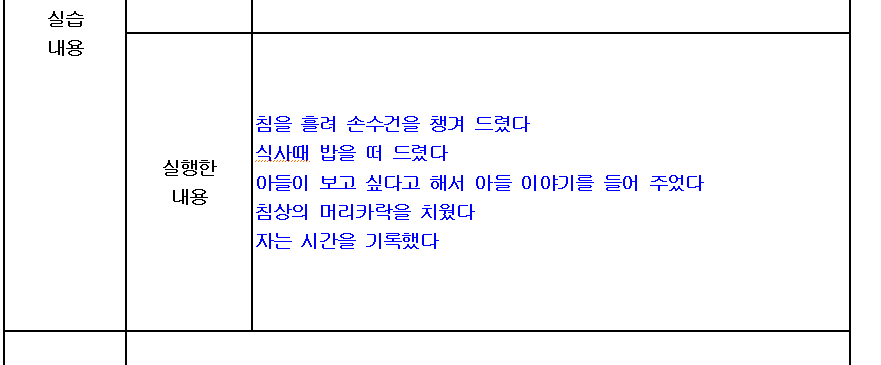 요영보호사 실습일지 작성법