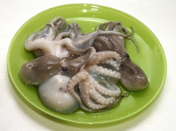 4월 제철해산물