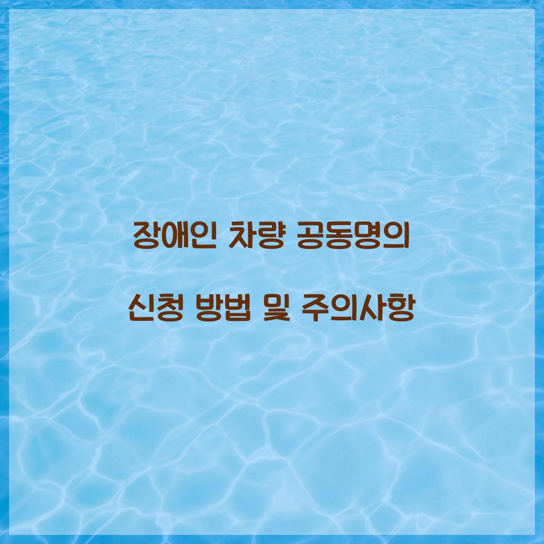 장애인 차량 공동명의