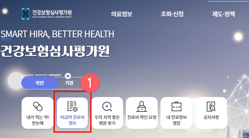 독감접종 가격 비교