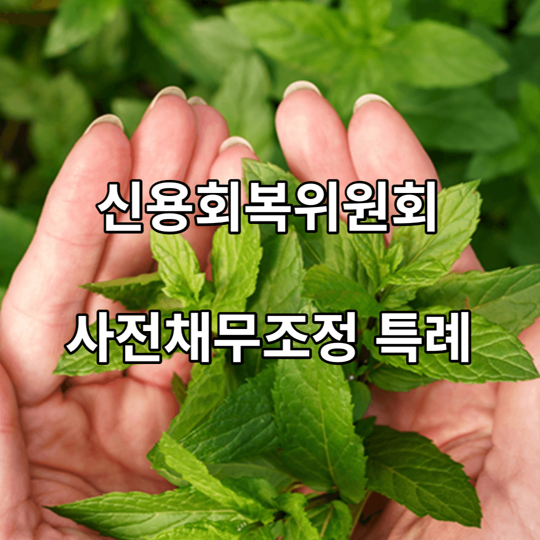 사전채무조정-특례