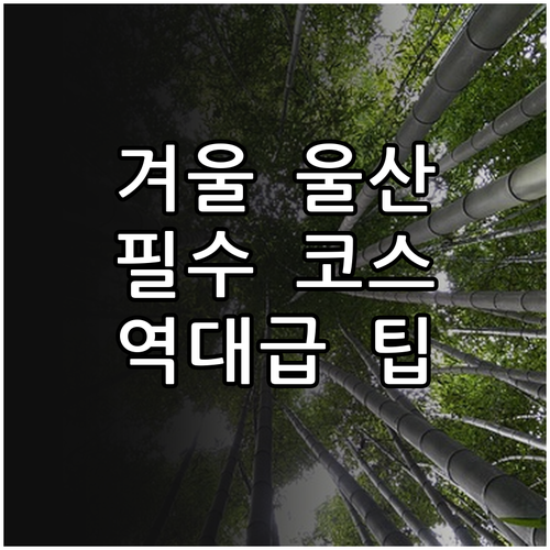 겨울 끝자락 울산 여행 추천 장소 3..