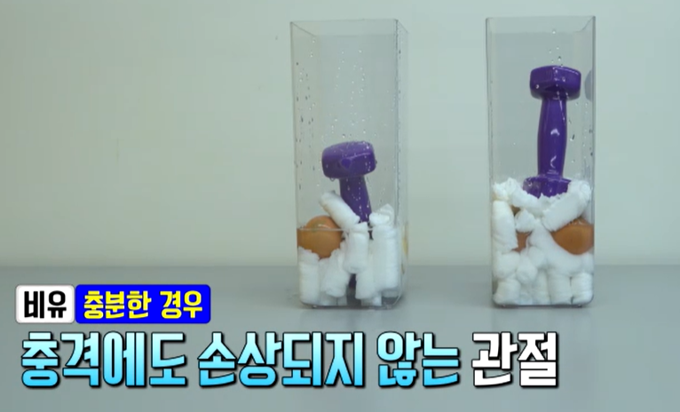 프로테오글리칸 효능