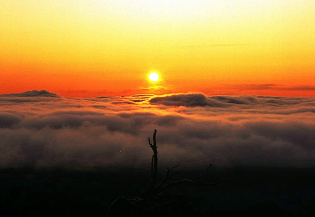 태백산-해돋이-명소
