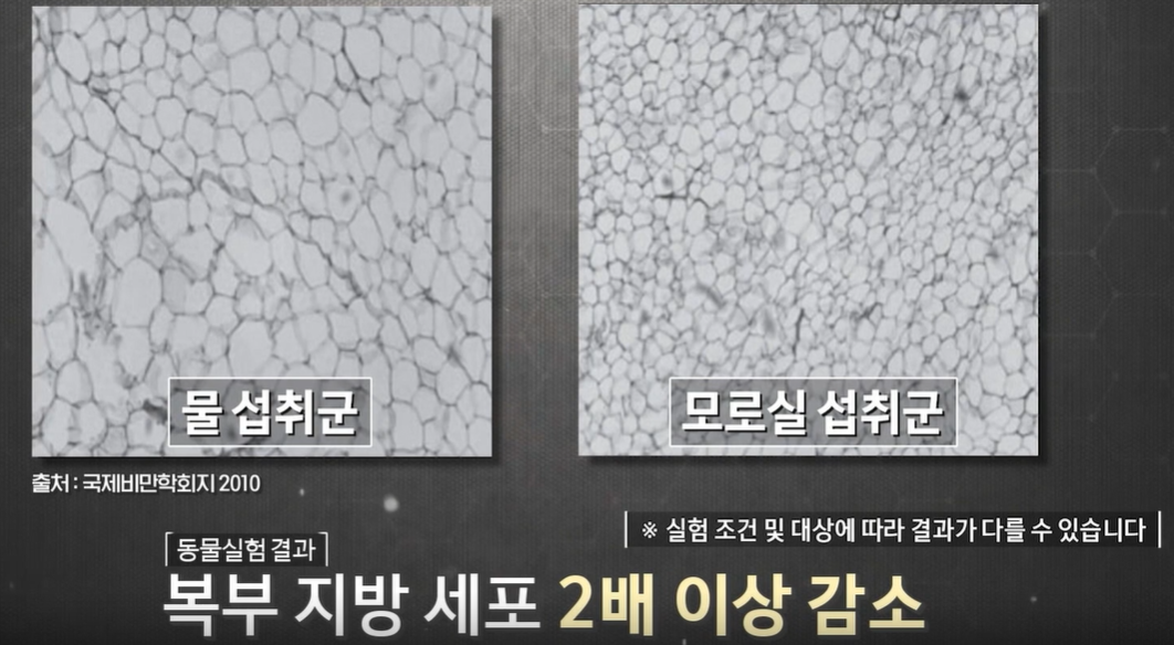 모로실 효능