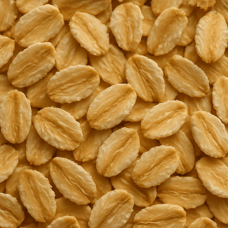 플라하반 점보 오트밀